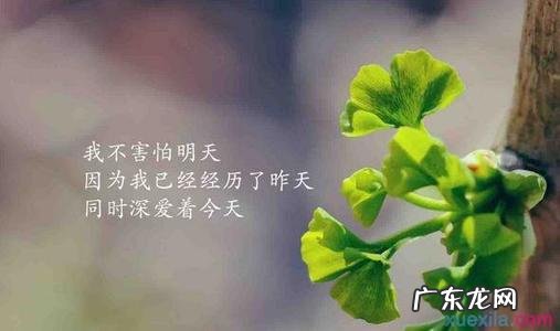 说说心情短语人生感悟2020 唯美心情短语人生感悟