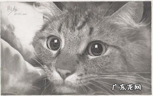 一双炯炯有神的眼睛 炯炯有神的眼睛像