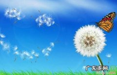 蒲公英作文二年级200字 蒲公英作文二年级