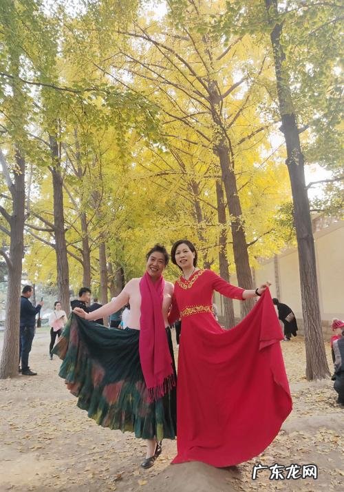 银杏果丰收的喜悦心情感言