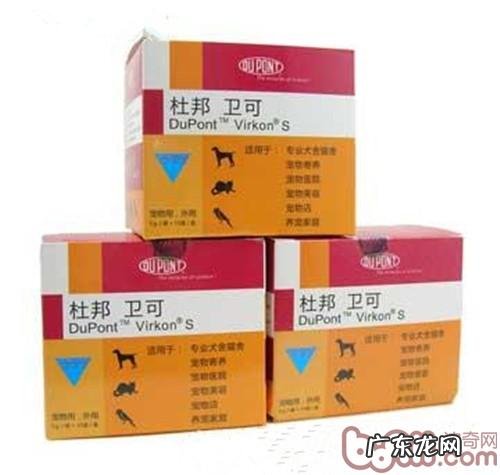 平时小狗环境消毒的常见问题