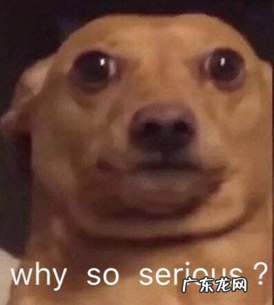 一本正经的沙雕文案闺蜜 一本正经的沙雕文案