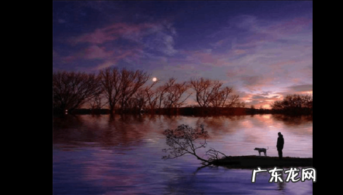 有一种境界叫孤独有一种