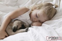 小狗到底是否可以使和主人家一起睡