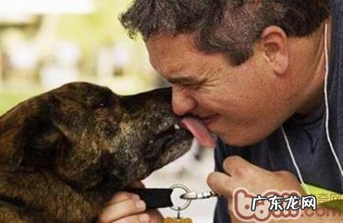 达标主人家必需，狗狗心事全面解析