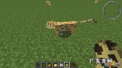 我的世界豹猫怎么驯服不了 我的世界豹猫