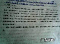 描写眼睛的作文200字 描写眼睛的作文500字