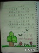 关于眼睛的日记100字 看眼睛日记100字