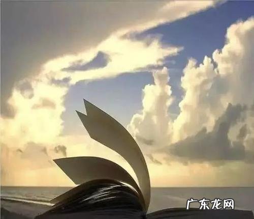 心灵感悟怎么写小学 心灵感悟怎么写