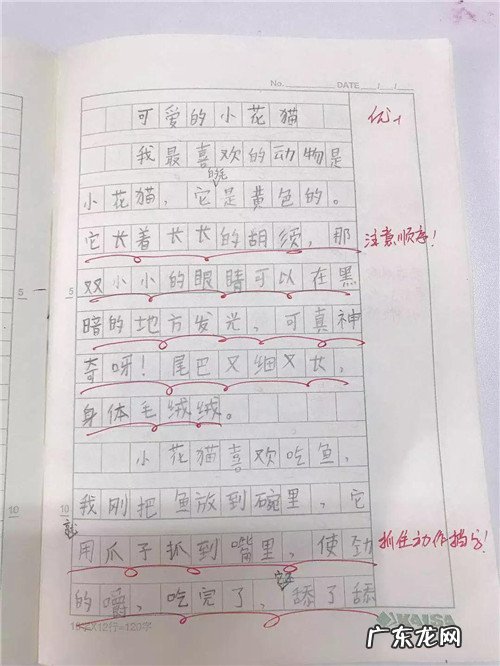 描写下雨刮风的片段 描写刮风的片段100字以上