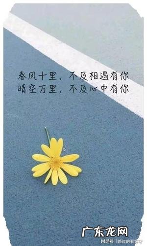 最暖心的情话打动情人图片