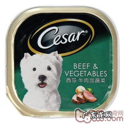 小狗秋天合理膳食强烈推荐