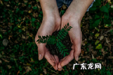 亚马逊市场价要填写吗?如何定价?