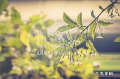 心情说说2020感悟人生 风景感悟人生的说说心情