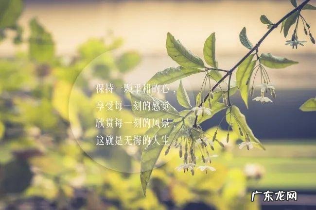 心情说说2020感悟人生 风景感悟人生的说说心情