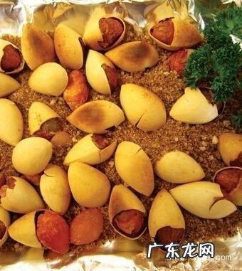 银杏果的正确吃法视频 银杏果的正确吃法