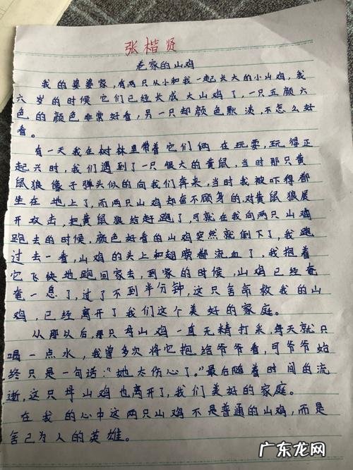 关于感动的开头唯美 关于感动的开头