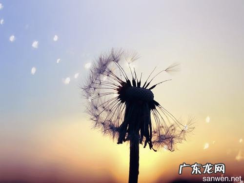 时光飞快的流逝的说说 表示时间流逝飞快说说