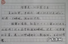 关于合作的作文精美开头 50个精美作文开头