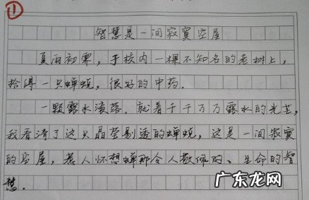 关于合作的作文精美开头 50个精美作文开头