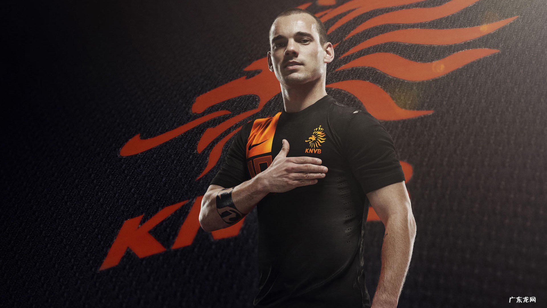 减肥的人 可以喝全脂奶吗