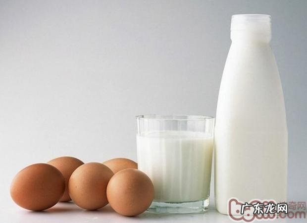 小狗食材中不能缺乏的蛋白成份