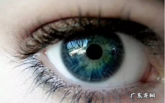 形容眼睛很漂亮的词语 形容眼睛很漂亮