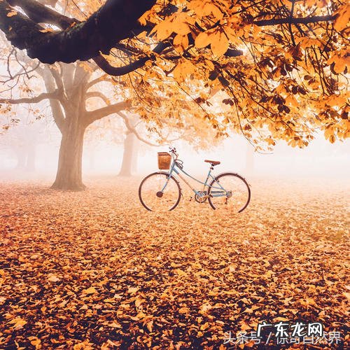 秋天的美景日记150字左右 秋天的美景50字左右