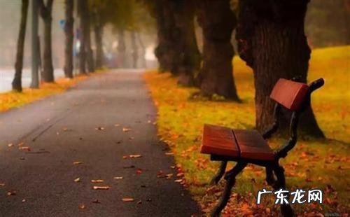 被欺负心情不好的说说大全 心情不好的说说大全