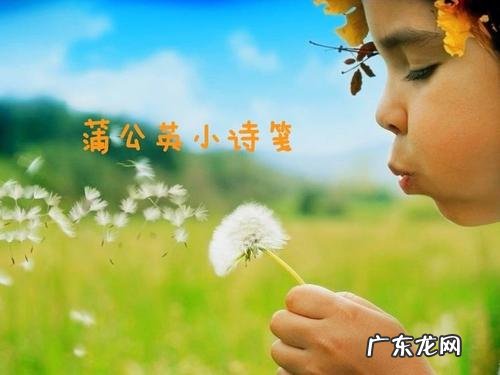 关于蒲公英的诗,最简单 关于蒲公英的诗最简单