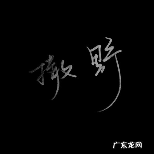 撒野作文《光》800字 撒野作文《光》