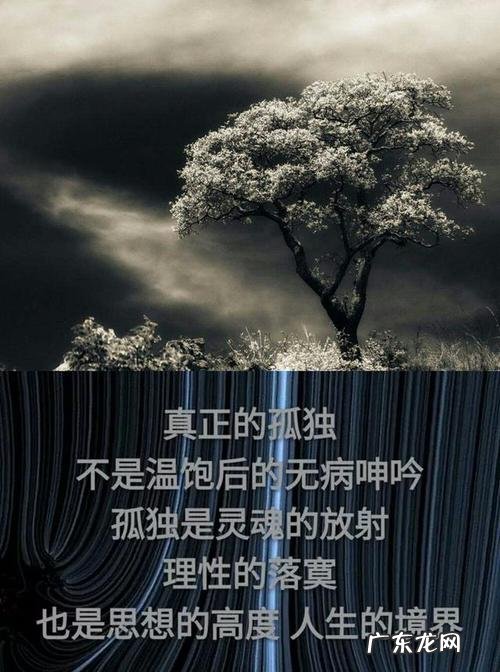 有一种境界是孤独在哪里可以看 有一种境界是孤独