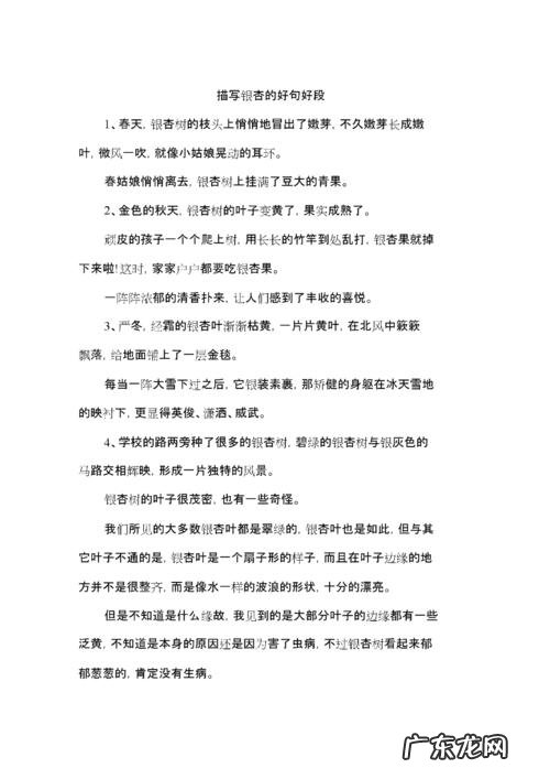 描写刮风的好段