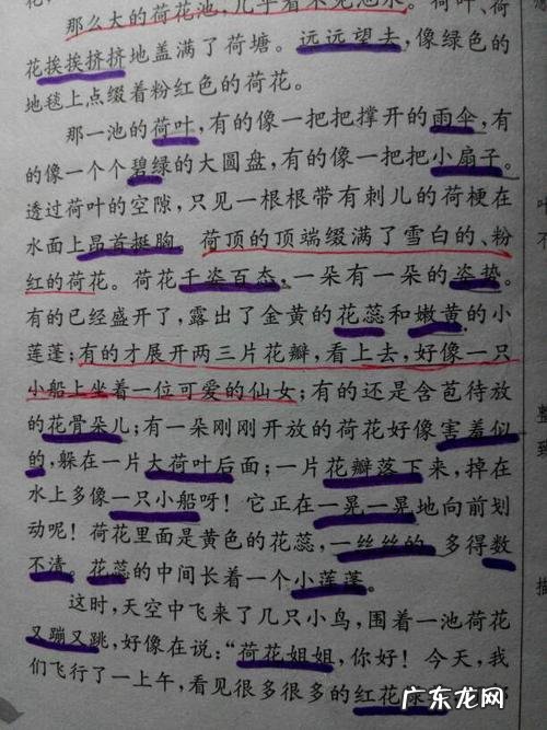 描写风景的段落摘抄50字 描写风景的段落摘抄