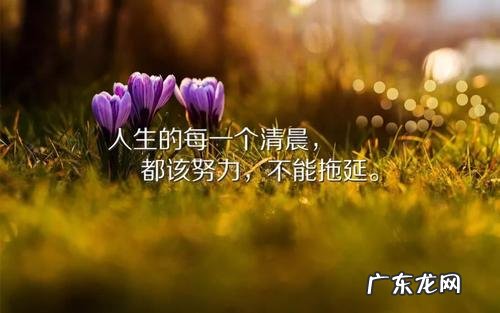 舞蹈激励语言正能量的 正能量的激励语言