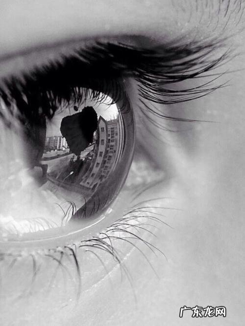 眼睛图片介绍 眼睛图片