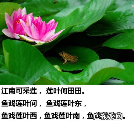 用忽然,霎时,逐渐描写风 忽然霎时逐渐描写风的情景