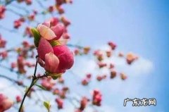 一晃就老了的经典语录 一晃就老了经典语录