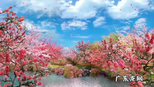 形容春夏秋冬景色优美的成语 写春夏秋冬的优美景色的片段