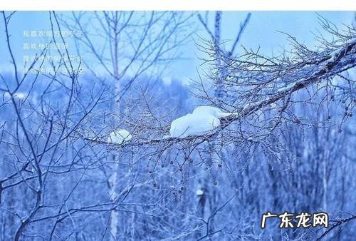 形容春夏秋冬景色优美的成语 写春夏秋冬的优美景色的片段