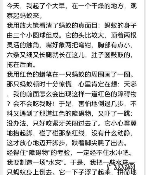 眼睛作文500字仿写手指 我的眼睛作文500字左右
