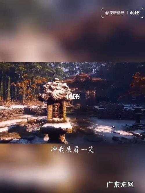 关于风的情感语录