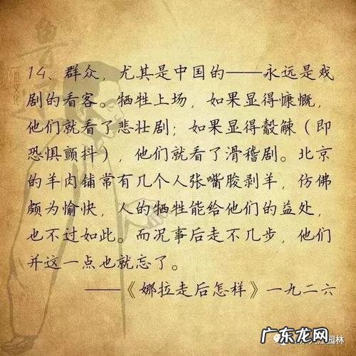 感叹时间飞逝的名言杜甫的 感叹时间飞逝的名言