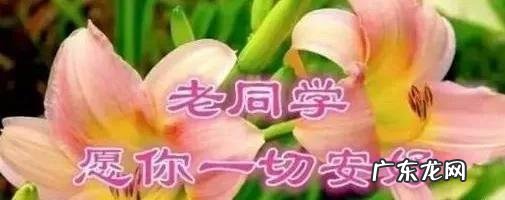 喜欢用文字表达情感的人 老同学情感文字表达
