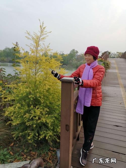 桃花林的景色描写 11月景色描写