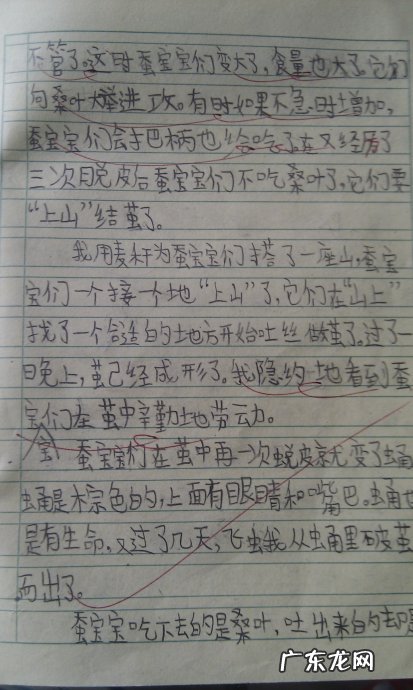 描写人眼睛的作文200字 对眼睛的描写200字