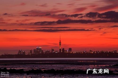 早晨的湖面应该怎么写 早晨的城市怎么写的