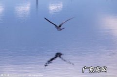 用起初,突然,不一会儿写风的变化 用起初不一会儿写风