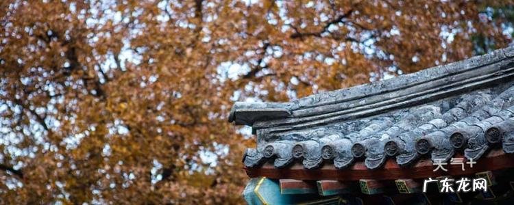 描写秋天的好段摘抄大全小学 描写秋天的好段摘抄