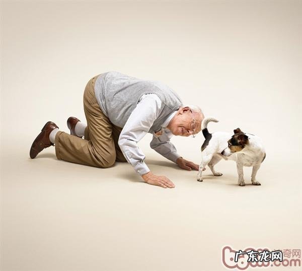 不遗弃不凌虐,养宠物的十八个益处